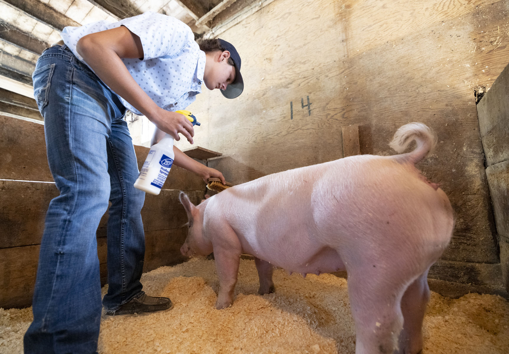 Plymouth County Fair Preview